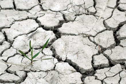 Propuesta para la introducción del Cambio Climático en Estudios de Impacto Ambiental y Social de proyectos agrícolas