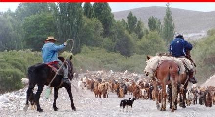 Procesos estructurales y coyunturales vinculados con las dinámicas sociales del área rural extrema de Malargüe