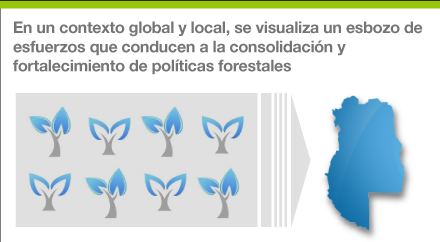 Hacia un fortalecimiento de la política forestal argentina: logros y desafíos de la provincia de Mendoza