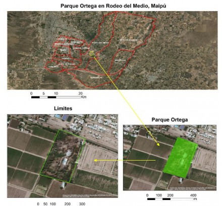 Recuperación de un patrimonio cultural para la comunidad: Parque General Ortega, Rodeo del Medio, Maipú