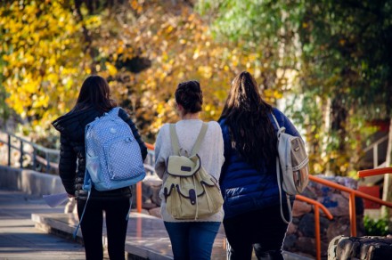 Trayectorias académicas en la universidad pública. Un análisis de caso