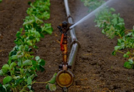 Pautas para la modificación de la estructura de la tarifa eléctrica de riego agrícola en Mendoza