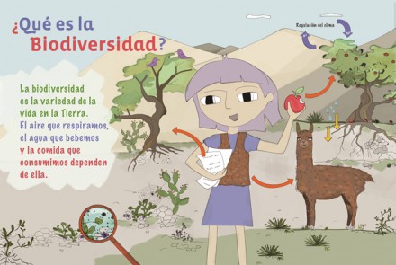 La conservación de la biodiversidad como eje de programas de Educación Ambiental