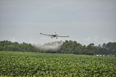 Análisis de la Ley Provincial de Agroquímicos