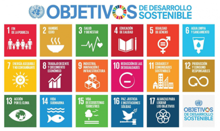 Importancia de la evaluación de aportes de organizaciones al desarrollo sostenible