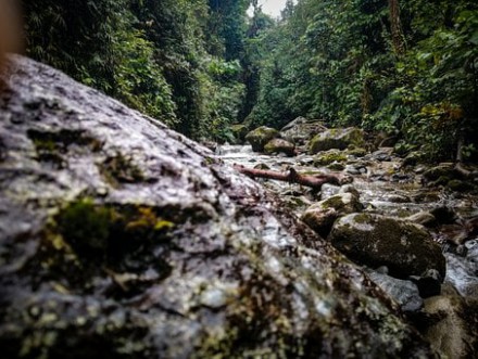 Comunicar Medioambiente. Políticas Públicas en acción