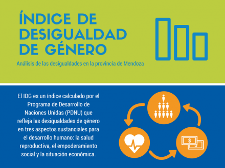 Análisis de las desigualdades en la provincia de Mendoza: el Índice de Desigualdad de Género