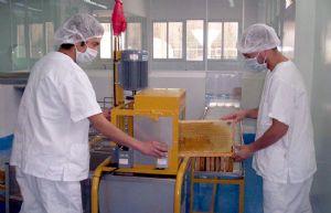 Trabajadores extrayendo miel